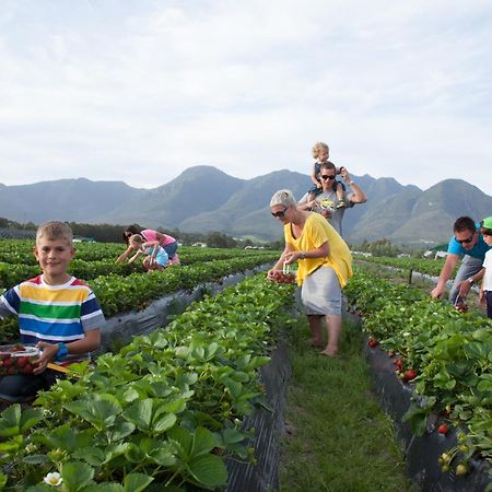 Redberry Farm Villa George Bagian luar foto